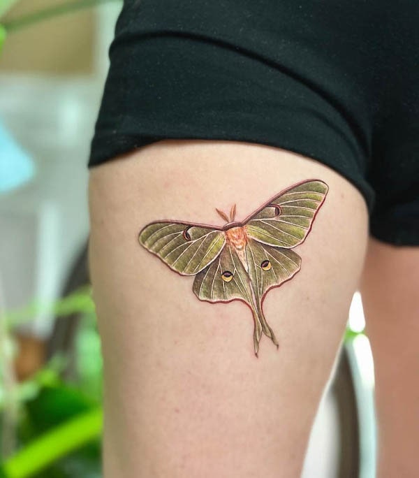 Green luna moth tattoo on the thigh by @simonster