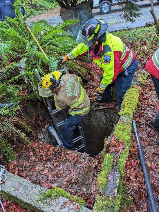 ”Firefighters rescue dog that fell into a well, demonstrating their commitment to saving lives, even four-legged friends.”