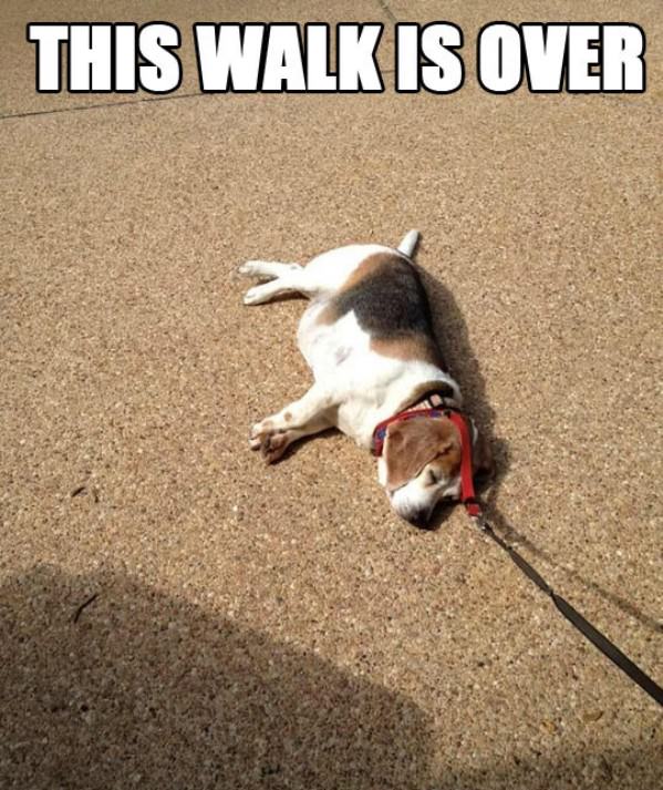 Walk Over