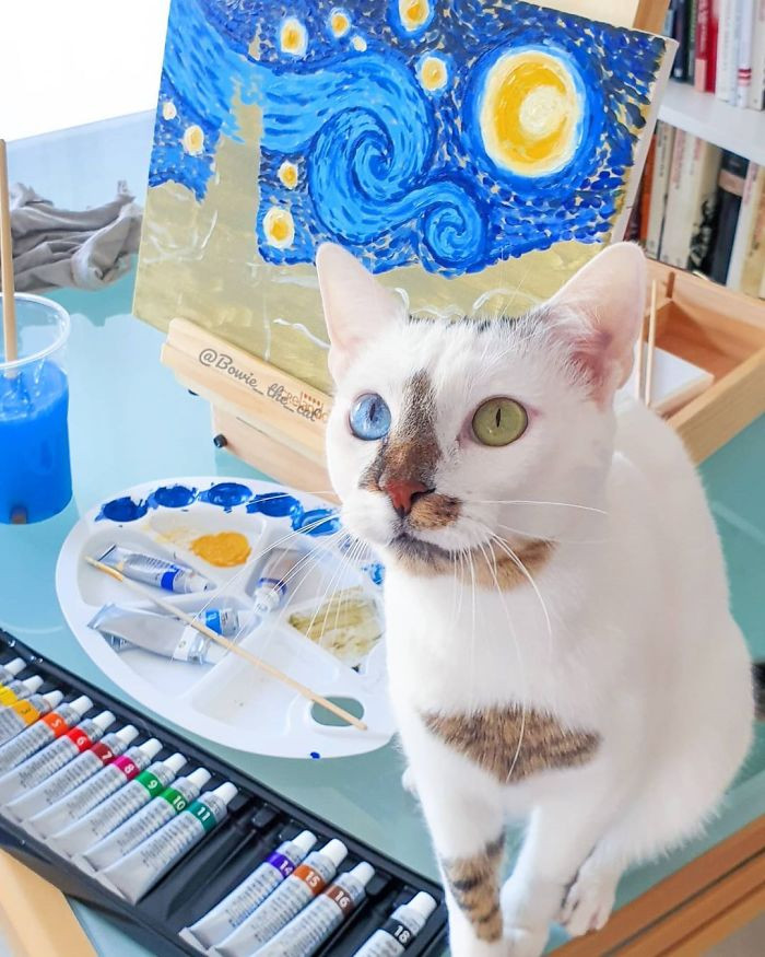 This cat is a work of art *wink*