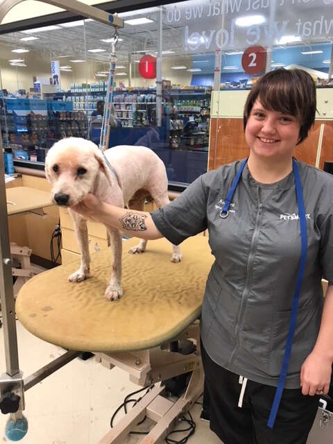 Pierre the poodle gets dramatic makeover after years of neglect that left him with 5 POUNDS of dreadlocks matted with feces and urine