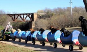 Man Constructs Special Doggie Train for Abandoned Dogs Near His House, Providing Shelter and Care - Puppies Love